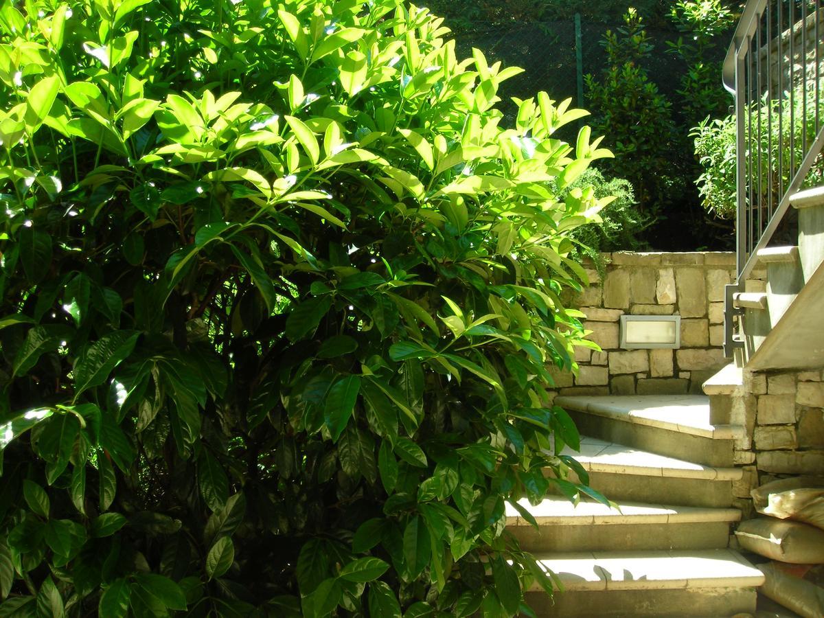 La Folaga Bed & Breakfast Gavirate Ngoại thất bức ảnh